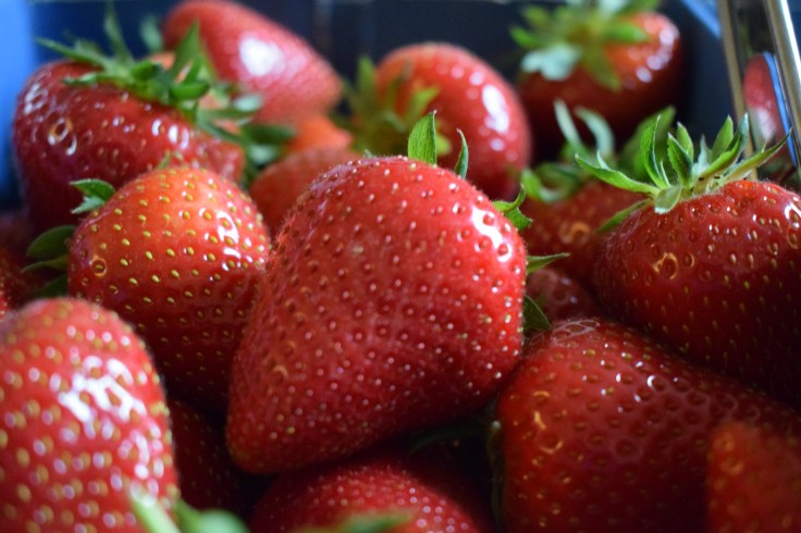 Pick your own strawberries