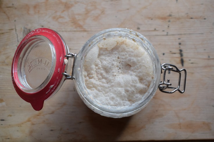 A healthy sourdough starter should be full of life and bubbles