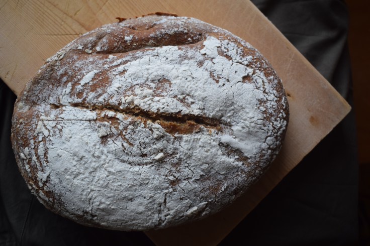 Fresh sourdough loaf - Crumbs and Roses blog