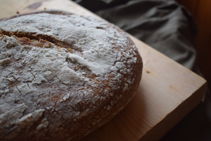 Fresh sourdough loaf - sourdough care techniques from Crumbs and Roses blog